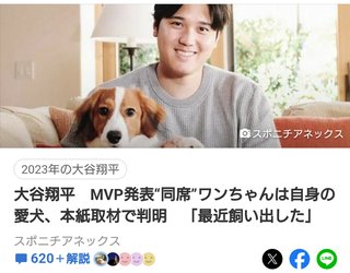 大谷翔平さん既視感あるなと思ってたらアンパンマンに似てる