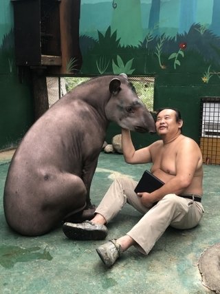 熊を動物園で保護を、餌がなく冬眠できない