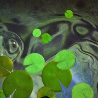 まったり】まなたん☆深たんと優しいお仲間さん達がワイワイするトピ【雑談