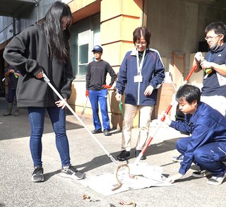 【鹿児島】ハブ脱走の天城町、6匹確保　5匹依然不明　職員ら50人で捜索 1匹は草刈り機で捕殺