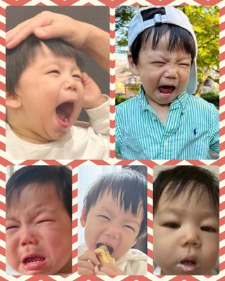 豆腐とズミと節男(雑談)