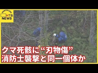 【北海道】クマ死骸に“刃物傷” 消防士襲撃と同一個体か 近くには男性の遺体 リュックから免許証