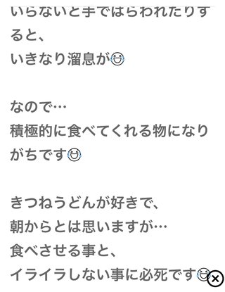 豆腐とズミと節男(雑談)