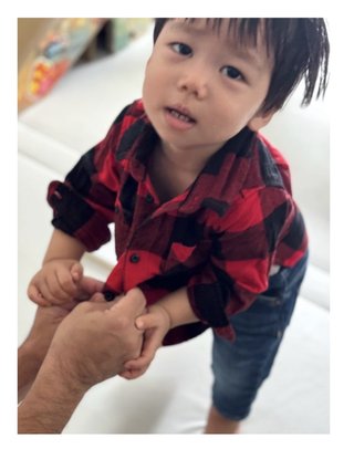 豆腐とズミと節男(雑談)