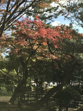 &#x{11:F8E2};なんでもいｰから&#x{11:F8E2};