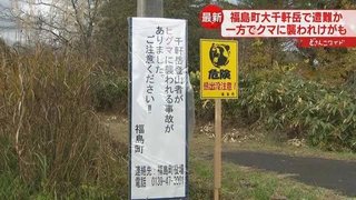 クマに襲われた消防士、下敷きになった状態からナイフで反撃 クマを蹴り石投げながら下山