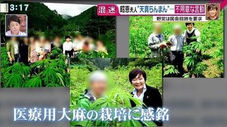 “大麻グミ”販売会社語る「違法なもの売っていない、継続して販売する」