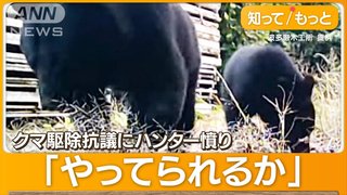 クマ討伐隊「パートに命かけられない」…4時間以内で6000円　OSO越えクマも