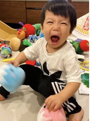 豆腐とズミと節男(雑談)