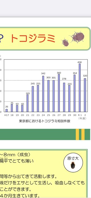 【韓国】全国で「トコジラミ」恐怖…政府が緊急対策会議