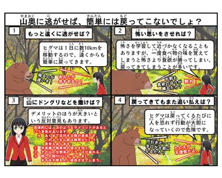【新潟】牛舎にやせたクマが入ってきて…牛と一緒に餌を食べる　牛20頭に被害なし