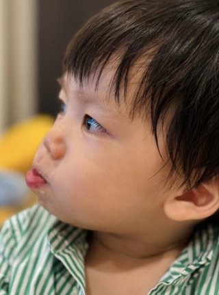 豆腐とズミと節男(雑談)