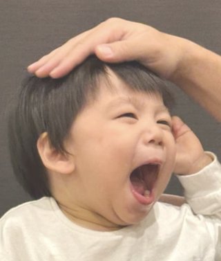 豆腐とズミと節男(雑談)