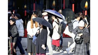 関東などで夏日、12月の観測史上最高気温…小田原で26℃