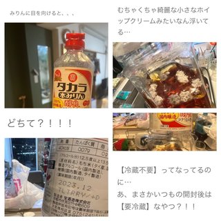 あいのり クロ