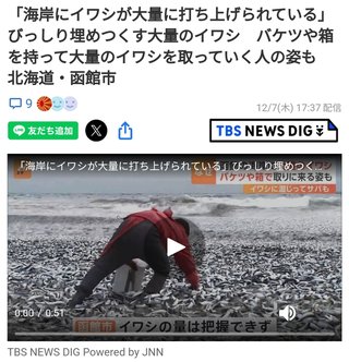大量イワシの大量死、九州から北海道まで