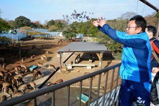 奈良のシカにドングリ100キロ　自衛官らプレゼント　昼休みに拾う