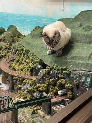 &#x{11:F8E2};なんでもいｰから&#x{11:F8E2};