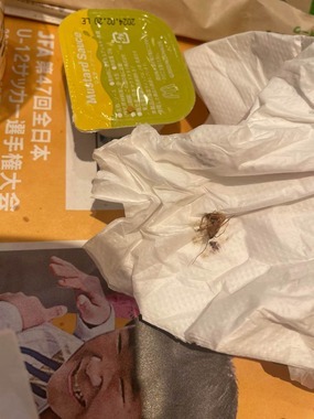 マックのグラコロにゴキ混入？客「1/4ぐらい食べた時に...まだ生きていた」 運営 申し出あった