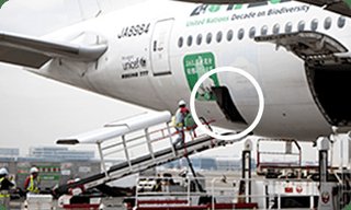 羽田空港の滑走路で火災　航空機が燃えたか