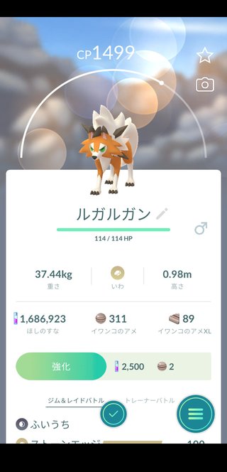 ポケモンGO   情報交換専用