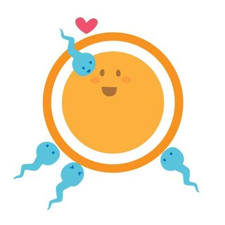 産後3ヶ月で妊娠したって言われたらどう思う？