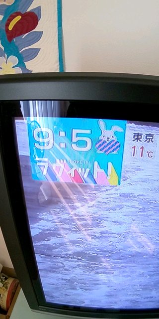 TBS系【ラヴィット！】