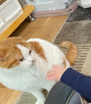 匿名笑笑をさがそう