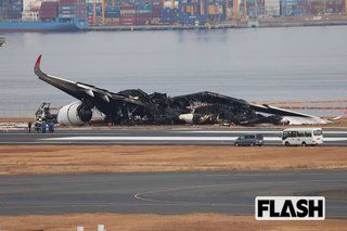 羽田事故　預けられていた動物は？　広報「2件のお預かりがありました。お悔やみを申し上げます」