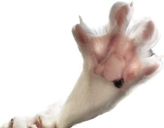 旦那のポケットに入ってた買って一ヶ月の電子機器(約一万円)を洗濯したんだが