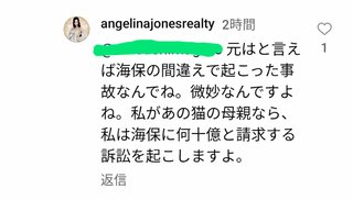 石田ゆり子「動物を機内に持ち込めることを許して欲しい」羽田衝突事故受けペットの“物扱い”に違和感
