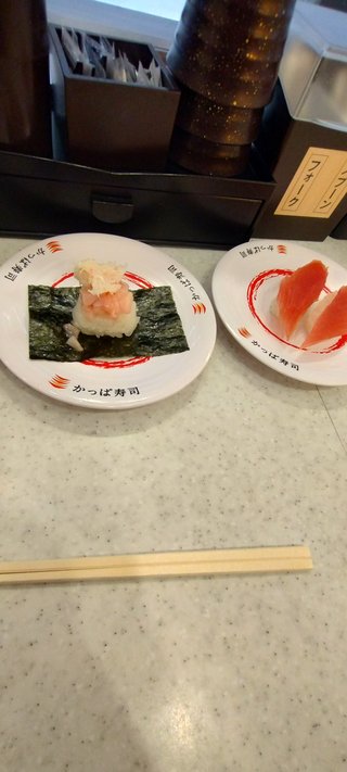 今かっぱ寿司で食べてます！オホホホホホホホ！