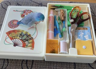 &#x{11:F8E2};なんでもいｰから&#x{11:F8E2};