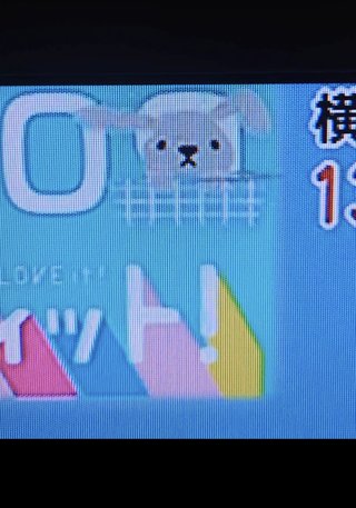 TBS系【ラヴィット！】