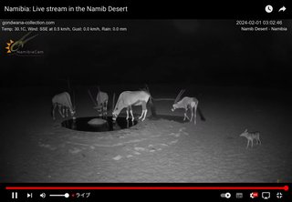 砂漠に設置された人工水飲み場を見守るライブカメラ配信が癒されると話題