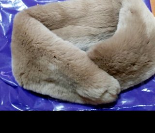 イエベ？ブルベ？どっちだとおもう？