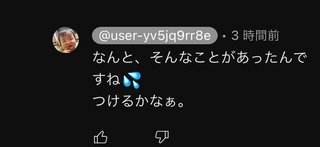 りっくん日記(YouTube)