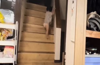 りっくん日記(YouTube)