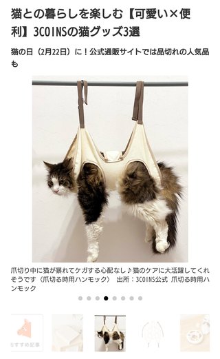 猫について何でもどうぞ【ねこ総合】