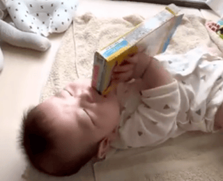 りっくん日記(YouTube)