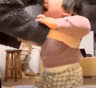 りっくん日記(YouTube)