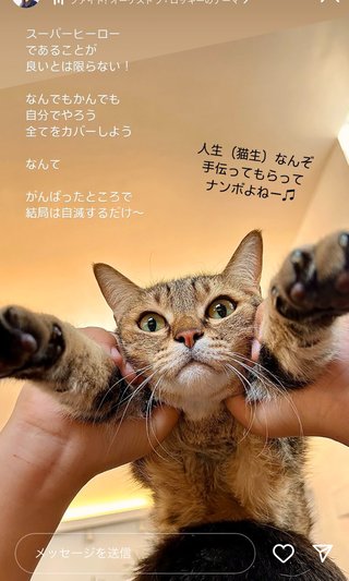 猫について何でもどうぞ【ねこ総合】