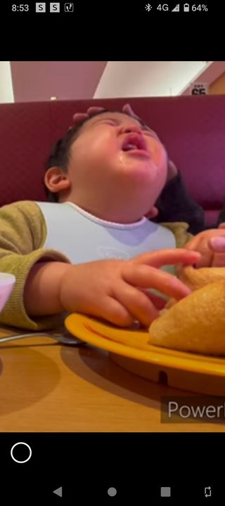 りっくん日記(YouTube)