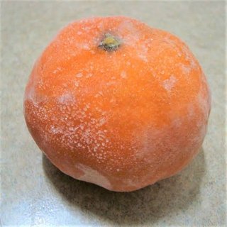 冷凍みかんってもうないの？