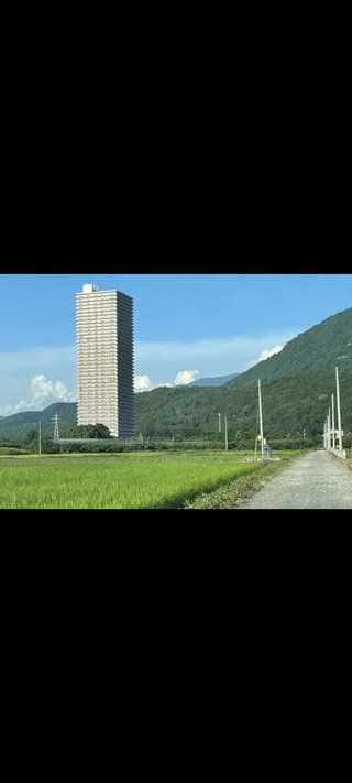 田舎のタワマンってさ…