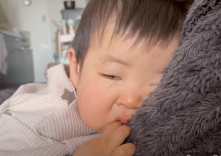 りっくん日記(YouTube)