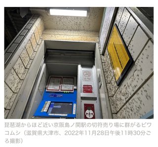 麻美（31歳／専業主婦）「東京に残ればよかった」琵琶湖の近くに引っ越して後悔