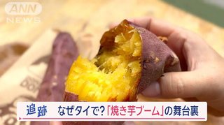 日本の「焼き芋」がタイで大ブーム