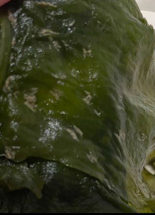 これ何だと思う？