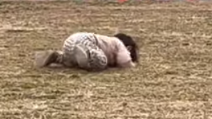 りっくん日記(YouTube)